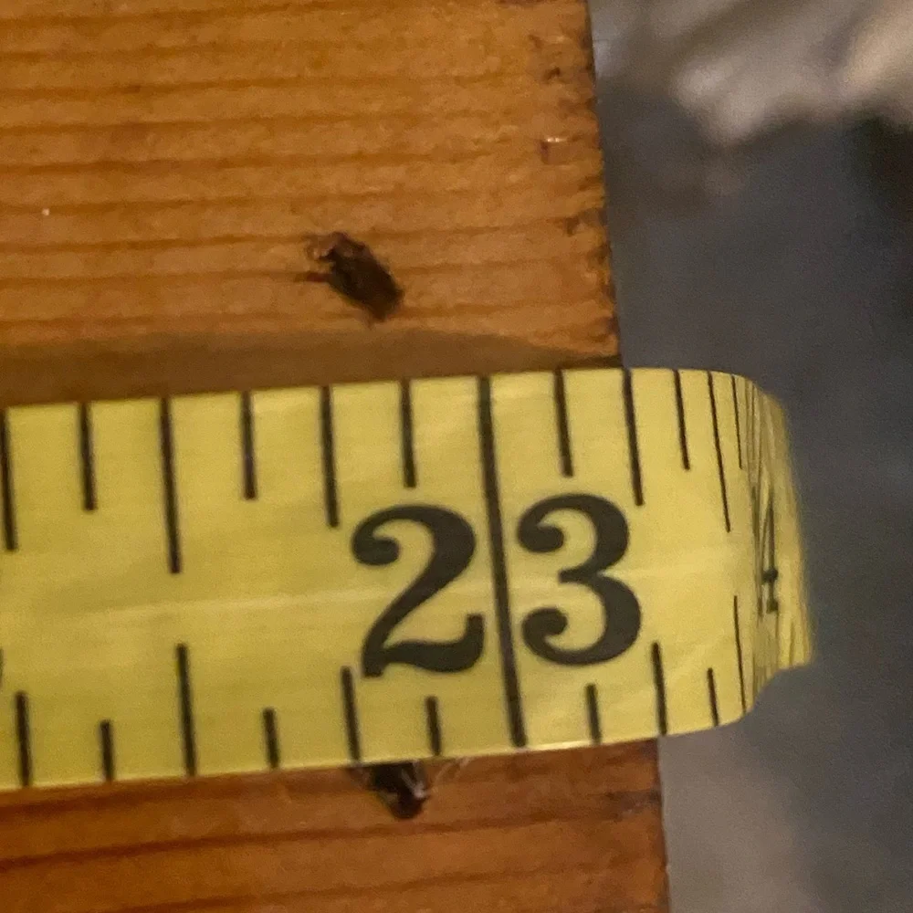 Wooden Spice Rack Organizer. Stand Alone or Hang. - Picture 6 of 11